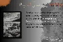 sea p.webp